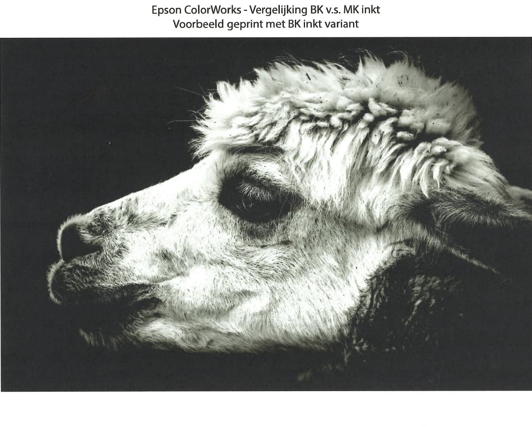 Epson ColorWorks BK print voorbeeld
