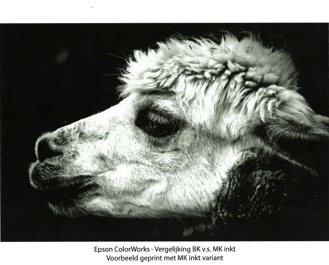 Epson ColorWorks MK print voorbeeld