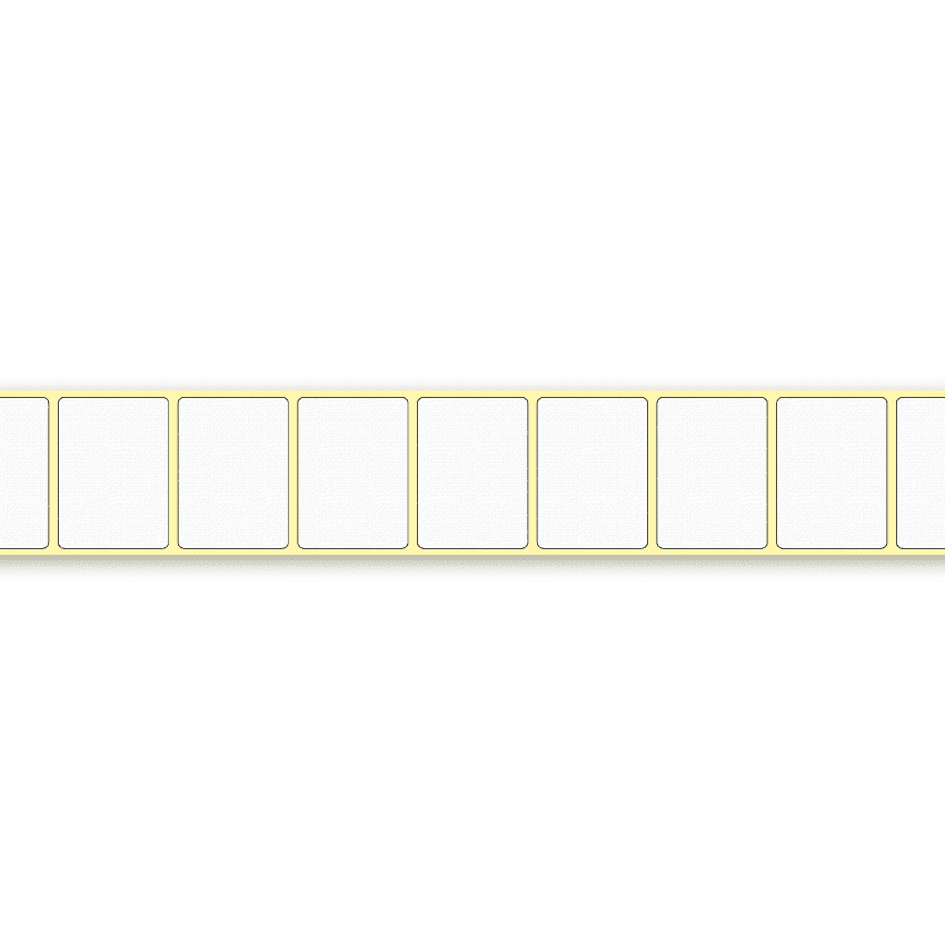 1000T, 48 x 35 mm thumbnail 3
