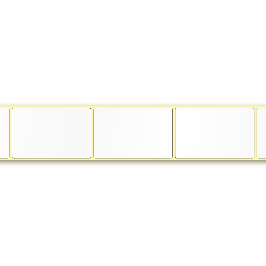 SLP-ENTL, 57 x 89 mm thumbnail 3
